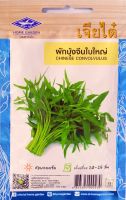 ผักบุ้งจีน ใบใหญ่ Chinese Convolvulus เมล็ดพันธุ์เจียไต๋ โฮมการ์เด้น