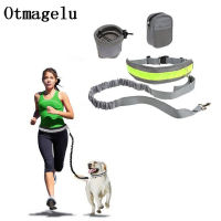 Elastic Dog Traction Belt Rope Set Dog Leashes Pet Run with Keeper Pets Sport Leash With Belt Reward Bag Debris Storage Bag Kits