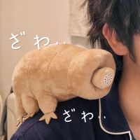 Water Bear High Felity อนิเมะผ้าใบดิเกรด Plushie ของเล่นตุ๊กตาสัตว์เสมือนจริงจำลองตุ๊กตายัดไส้ Kawai ของขวัญของเล่น