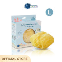 Chitida Natural Mediterranean Sea Sponge  ฟองน้ำธรรมชาติ 100% ชนิด Fine Silk Size L สำหรับอาบน้ำ