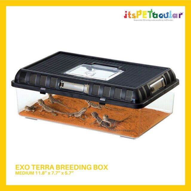 Exo Terra Breeding Box Medium Lazada PH
