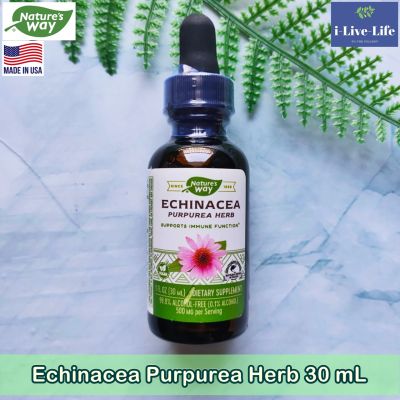 Echinacea Purpurea Herb 30 mL - Natures Way Alcohol Free เอ็กไคนาเซีย แบบน้ำ