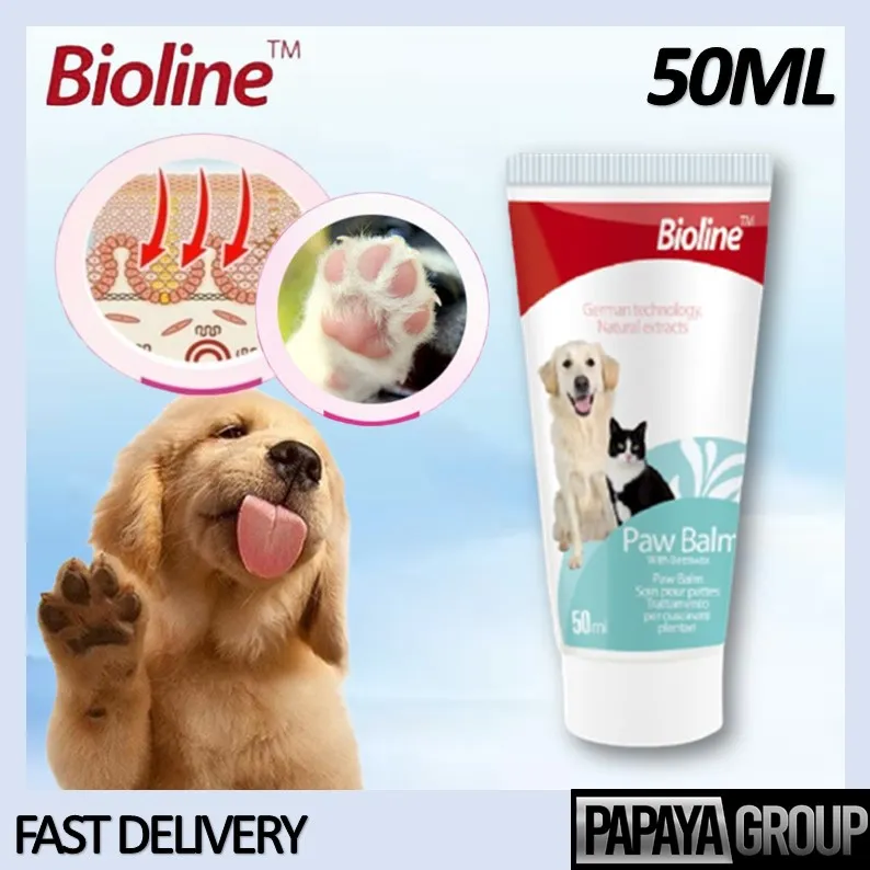 Can I Use Aloe On My Dogs Paws Can I Use Aloe On My Dogs Paws