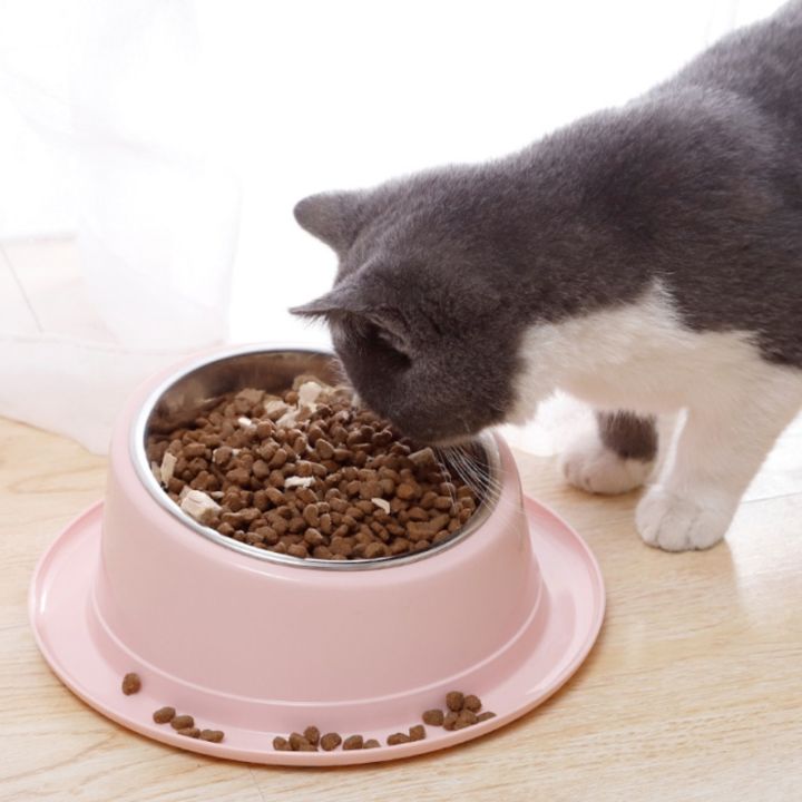 สำหรับแมวชามสุนัขยกสำหรับอาหารแมวชามน้ำสัตว์เลี้ยงลูกสุนัขสุนัขขนาดกลางขนาดเล็กทนทาน15-เอียงยกชามง่ายต่อการ-re
