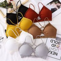 2023 sexy threaded sports yoga bra pure cotton sports bra fitness top bra breathable strap underwear bra pad wrap chest