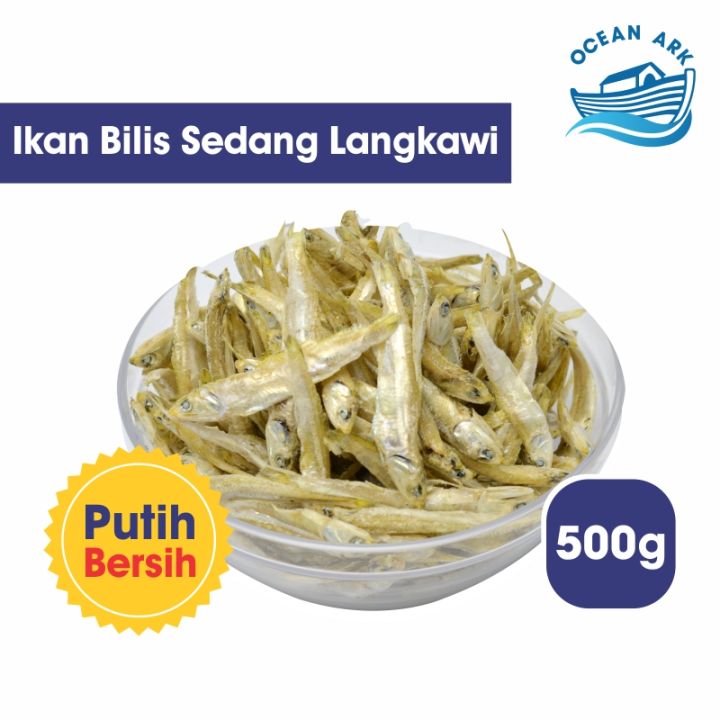 [BORONG] IKAN BILIS SEDANG LANGKAWI GRADE AAA OCEAN ARK (500g) | Lazada