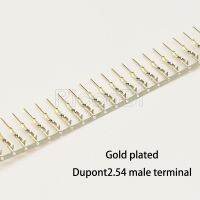 【The-Best】 tpyjbm 100/200Pcs สำหรับชุบ Dupont Connector Need Tinniness ทองแดง2.54มม. โลหะ Terminal Femal หรือชาย Pin จัดส่งฟรี