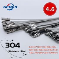 10 Pcs 4.6mm Stainless Steel Metal Cable Ties Exhaust Wrap Coated Locking Metal Zip-Exhaust Multifunctional Locking Cable Ties Cable Management