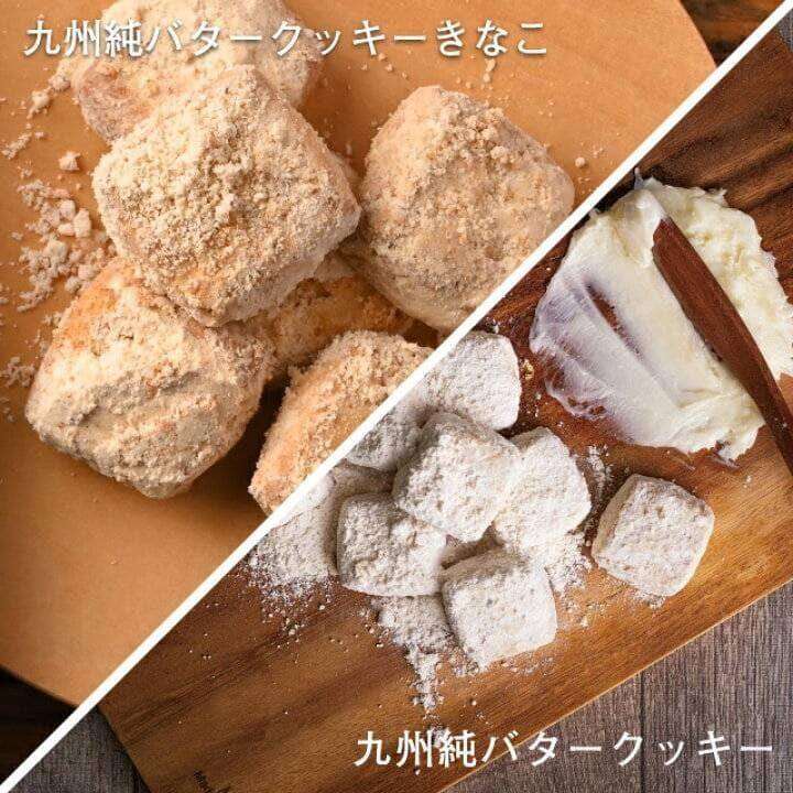 พร้อมส่ง-kinako-kyushu-pure-butter-cookies-with-ground-nut-คุ๊กกี้เนย-คลุกถั่ว-จากเกาะคิวชู