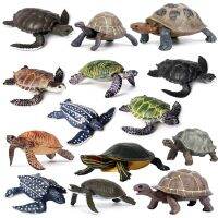 Simulation Realistic Marine Life Animal Model Sea Turtle Tortoise Action Figure Educational Collection Toy Gifts For Children