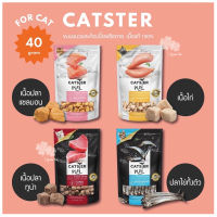 Catster Play (แคทส์เตอร์) ขนมและทอปปิ้งฟรีซดายสำหรับแมว