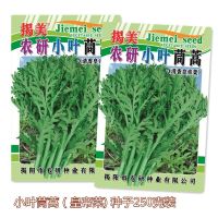 vegetable flower leaf Chrysanthemum chrysanthemum rapeseed 250g autumn sowing easy to grow agricultural