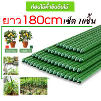 ไม้ค้ำยันต้นไม้ ค้างต้นไม้ ซุ้มต้นไม้ ซุ้มต้นไม้ ค้างผัก plants support stick 60- 180cm. ซุ้มกุหลาบ ซุ้มไม้ ซุ้มไม้ดอก(แพ็ค10ชิ้น)