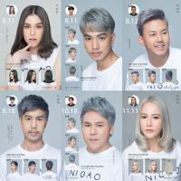 NIGAO Hair Color 100มล.+150มล.แถมฟรีไฮโดรเจน นิกาโอะ แฮร์ คัลเลอร์ ครีมเปลี่ยนสีผม สีย้อมผม รุ่น Silver Grey   ปลอดภัย ไร้แอมโมเนีย  สีเทา สีย้อมนิกาโอะ