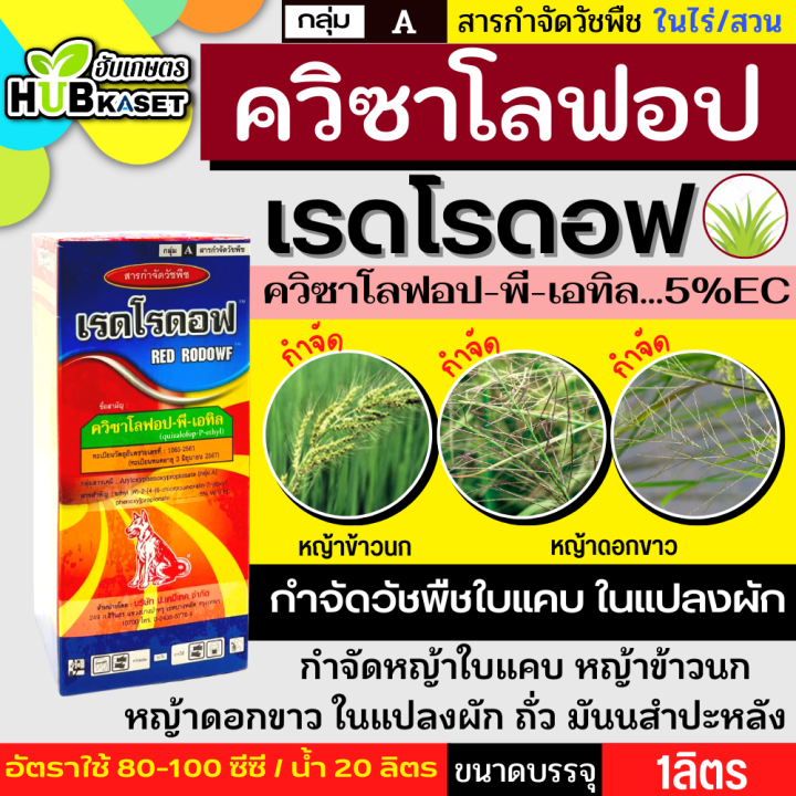 เรดโรดอฟ 1ลิตร (ควิซาโลฟอป-พี-เทฟูริล4%EC) ใช้กำจัดใบแคบในแปลงผัก