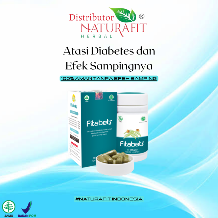 Fitabets Obat Diabetes Dan Efek Sampingnya Gula Darah Pankreas