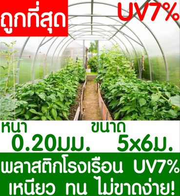 พลาสติกคลุมโรงเรือน สีใส ขนาด 5x6เมตร หนา 200ไมครอน UV7% โรงเรือน greenhouse โรงเรือนเพาะชำ พลาสติกโรงเรือน โรงเรือนปลูกผัก ปลูกผัก ออแกนิค