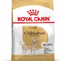 นาทีทอง ส่งฟรี Royal Canin Chihuahua Adult 500g อาหารสำหรับสุนัขพันธุ์ชิวา