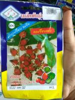 เมล็ดพันธุ์ กระเจี๊ยบแดง roselle ผลดก ดูแลน้อย ต้นแข็งแรง ปลูกง่าย น้ำหนักดี ผลผลิตสูง ทนโรค ผักสวนครัว