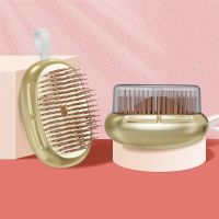 Brosse Demelante Magique Woman Hair Brush Magic Detangling Brush Root Scalp Massager Comb Hair Styling Tools