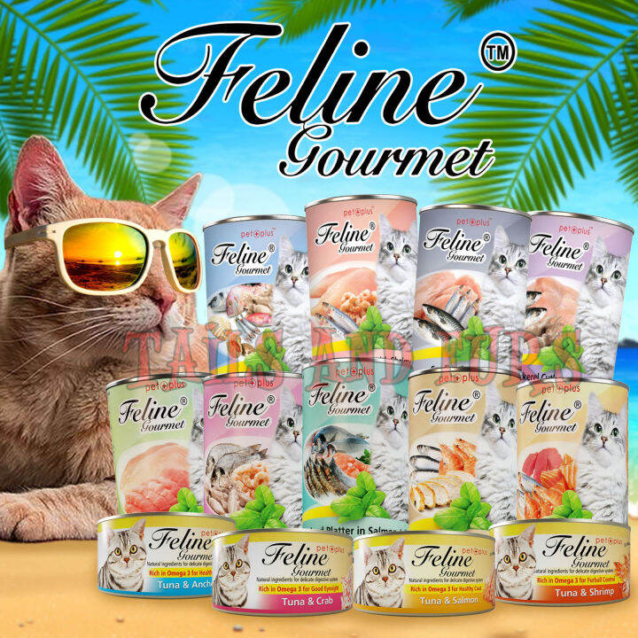 Feline Gourmet Cat Food in Can 400g/80g by Pet Plus Lazada PH