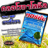 ทอร์ชั่น คลอโรทาโลนิล 75% wp 1 Kg. ยาเชื้อรา ยาฉีดข้าว ยาฉีดไม้ผล เชื้อราหญ้าในสนาม ราน้ำค้าง ใบจุด ราสนิม ราแป้ง เน่าดำ ฉีดทุเรียน ฉีดข้าว