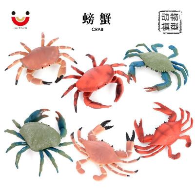 Simulation model of ocean animals crab green crab crab crab collection of childrens cognitive toys furnishing articles