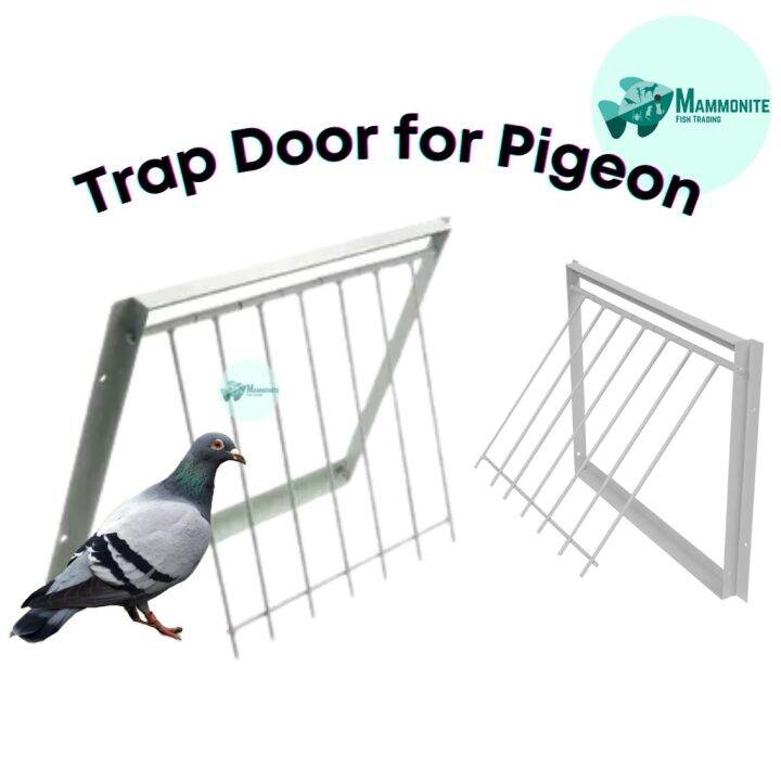Bird Pigeon Trap Door Stainless Steel Frame Trapping Cage YCPG836☂ Lazada PH