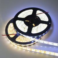 5M Led Strip lights 5050 2835 Rgb Tape 12V 30D 60D Waterproof White Light For Room Decoration Kitche Garland Outdoor Lighting