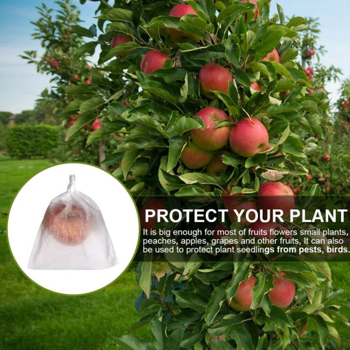 100pcs-garden-plant-fruit-cover-protect-net-mesh-bag-against-insect-bird-pest