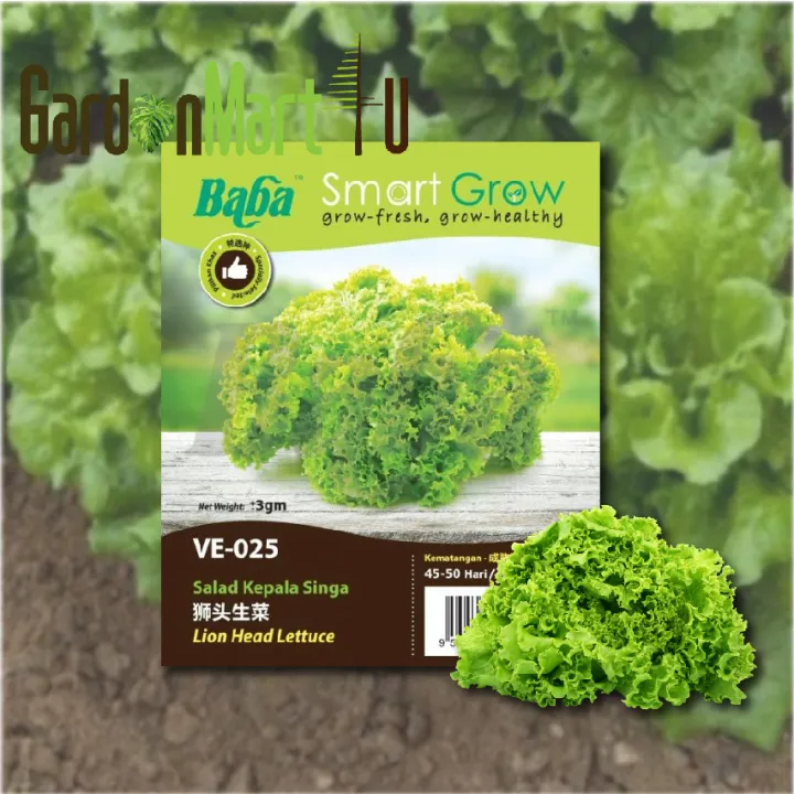 Smart Grow Seeds Lettuce Looseleaf Salad Vege Seed Biji Benih Sayur