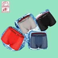 Mens Underwear Summer 3D Stamping A Piece Of Ice Silk Underwear Traceless Mens Boxers Sexy Transparent Shorts