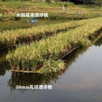 Spot parcel post Seedling Cultivation Foam Floating Plate Rice Planting Plate Hydroponic Greening Vegetable Equipment Fish Pond Water Surface Planting Cover