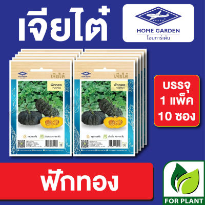 ผักซอง เจียไต๋ CT15 เมล็ดพันธุ์ พันธุ์ผัก ฟักทอง บรรจุแพ็คล่ะ 10 ซอง ราคา 70 บาท