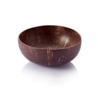 ETXNatural Coconut Bowl Eco-friendly Soup Salad Noodle Rice Bowl Wooden Fruit Container Handicraft Kitchenware