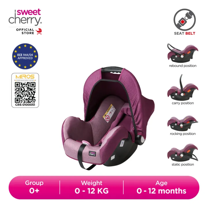 Sweet Cherry Portable Group 0+ Infant Car Seat (LB323A)