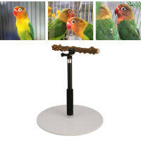 Parrot Station Detachable Adjustable Bird Perch Safe for Indoor