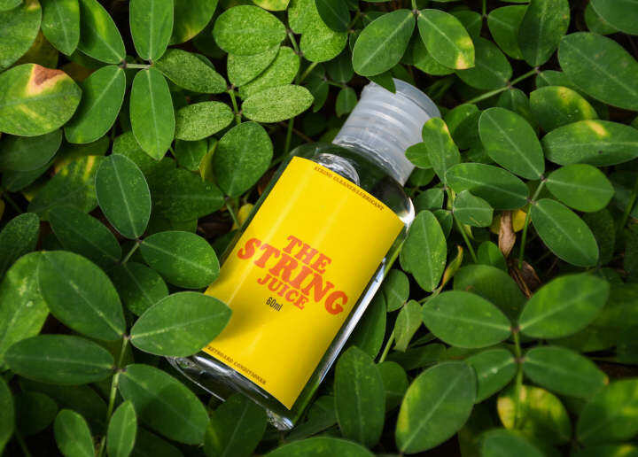 The String Juice 60ml Guitar String Lubricant Fretboard Oil Lazada PH