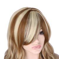 [Free ship] and wig women foreign trade womens long curly hair gradient high temperature silk rose mesh set