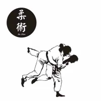 Boxing Club Judo Taekwondo Karate Sticker Kick Boxer Play Car Decal Free Combat Posters Vinyl Striker Wall Decals Decor