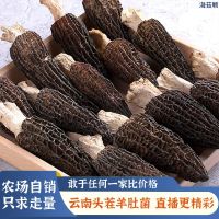 fresh fungi special-grade new dry Yunnan mushroom wild specialties goods Morel ingredients goods soup nutrition package