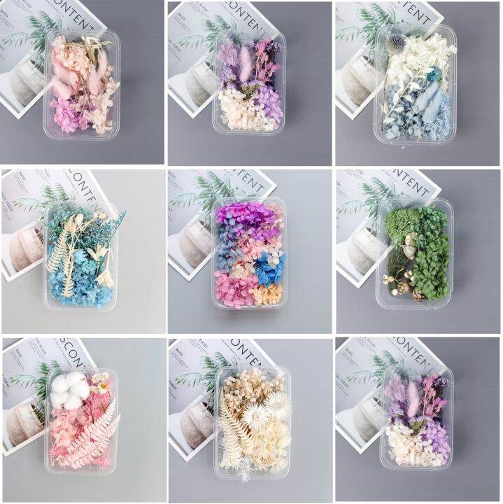 Dried Flower Box Set Beautiful Preserved Flower Mix Flower and Colours ...