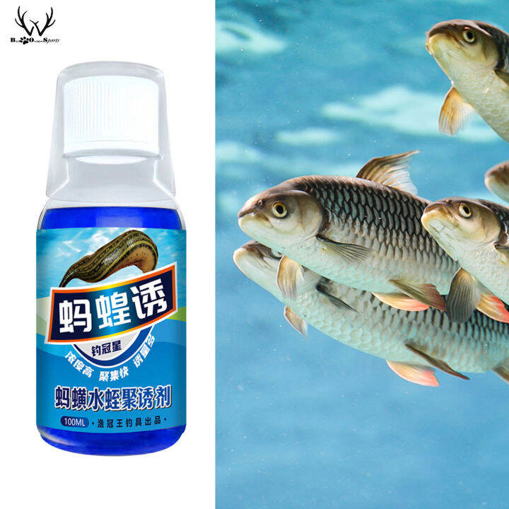 Healthy Ingredients Leeches Attractant Persistent Fragrance Leeches