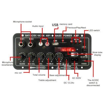 Usb Dual Microphone Karaoke Amplifier Digital Board Subwoofer Mono Remote Control Stereo Amplifier Ac 220v 12v 24v