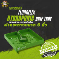 Floraflex ฝากระถางขนาด 6 นิ้ว Floracap Hydroponic Drip Tray for 6" Pots, Coco Coir or Rockwool Cubes