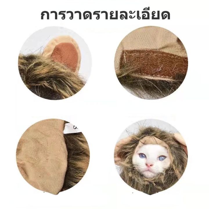 xmas-cod-หมวกสัตว์เลี้ยง-วิกผมแมวน่ารัก-รูปสิงโตน่ารัก-หมวกแมว-หมวกสุนัข-หมวกสัตว์เลี้ยงตลก-อุปกรณ์ปาร์ตี้แฟนซี