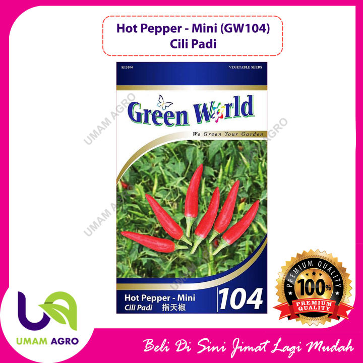 Benih Hot Mini Pepper Benih Cili Padi Benih Cili Api Gw0104 迷你辣胡椒 100