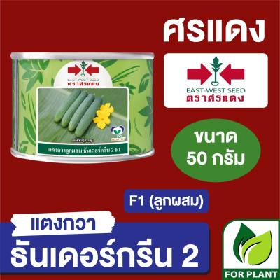 เมล็ดพันธุ์ ศรแดง แตงกวา ธันเดอร์กรีน 2 กระป๋อง ขนาด 50 กรัม