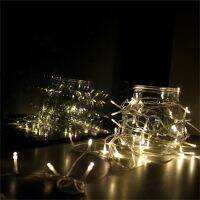 ICOCO 100 LED Blue Color String Fairy Lights party Christmas Garden Waterproof IP44 Flash Deal Sale for UK Plug