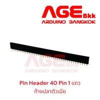 Pin Header 40 Pin (40PinX1Row), Pitch 2.54mm Female ก้างปลาตัวเมีย